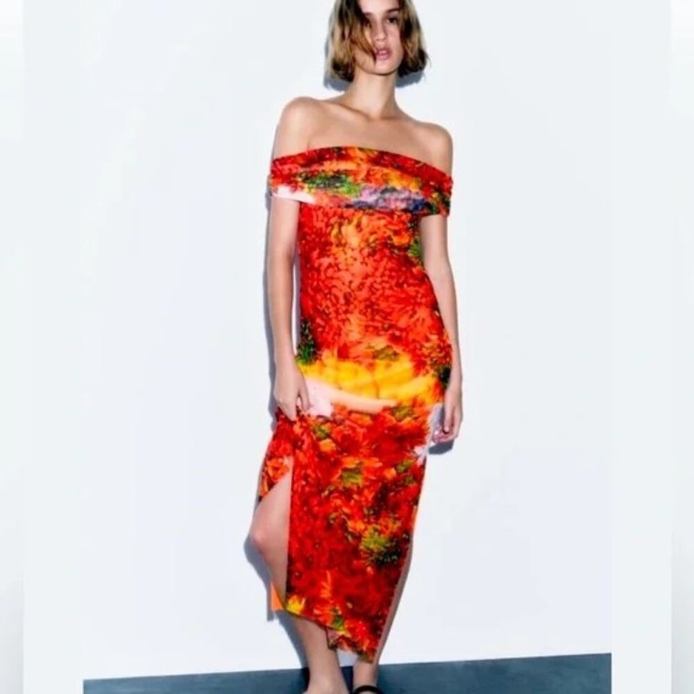 Zara Picante All Over Print Over The Shoulder Tulle Dress M